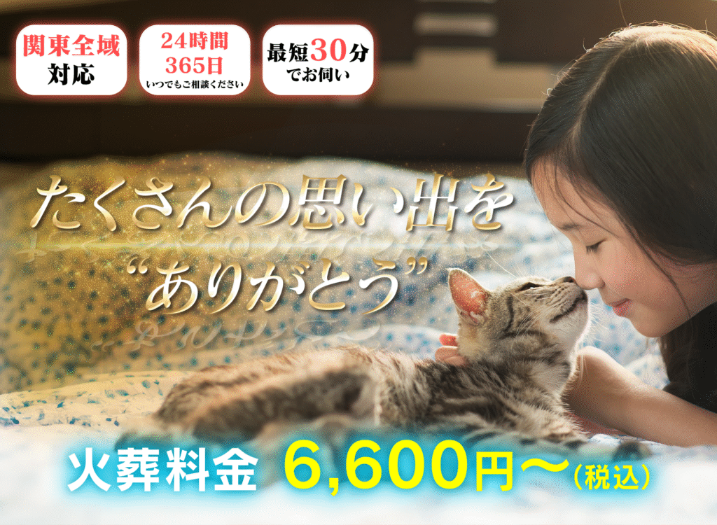 ファーストビュー